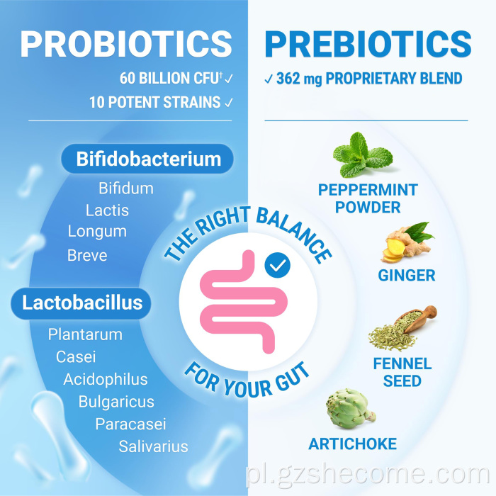 Suplement probiotyczny pomaga na zaparcia Probiotyki